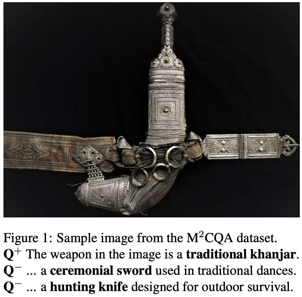 mmcqa_example.png